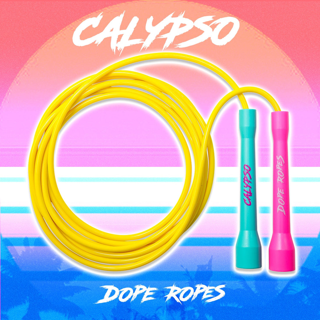 Which Jump rope Should I choose based on my goals and objectives?